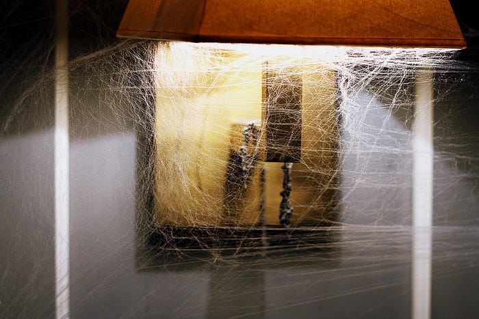 light with spider webs