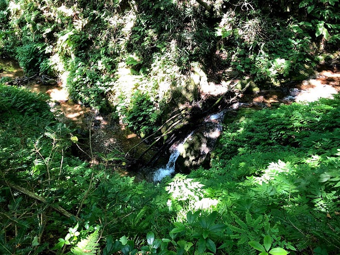 One of the numerous waterfalls of Mt. Atsumi in Atsumi Onsen on the southern Shonai coast of the Sea of Japan