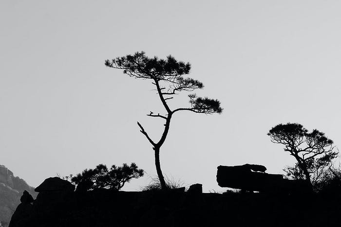 raw-image