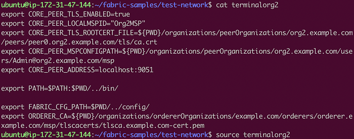 Add a Peer to an Organization in Test Network 4