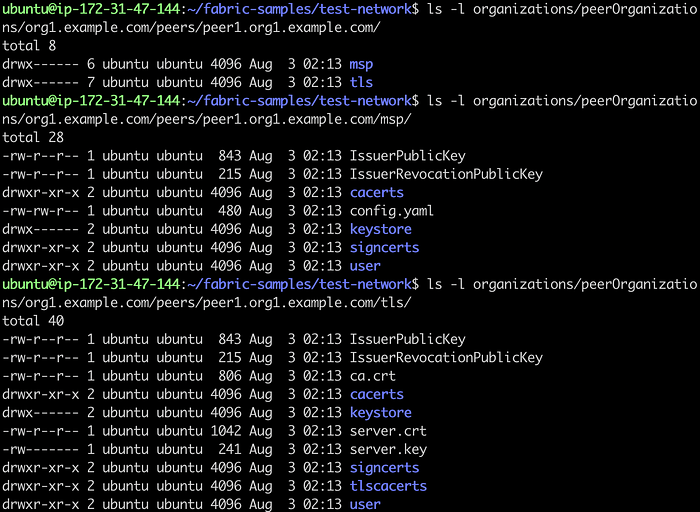 Add a Peer to an Organization in Test Network 9