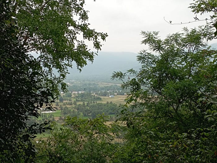 A view of the valley from the surrounding hills