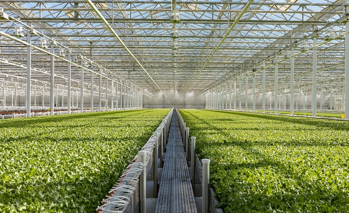There are Several financing options for setting up greenhouses farming which bank loan remains paramount and feasible in the entire world of agriculture. Havelet Finance offers a full range of services for the financing and construction of greenhouse farming and as well, modernization, repair and maintenance.