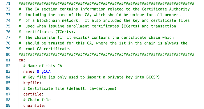 Typical Setups of Fabric CA Server 14