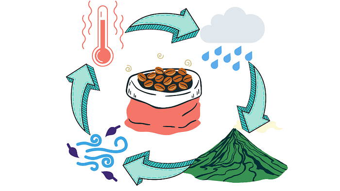 Figura 2: Necesidades climáticas del café