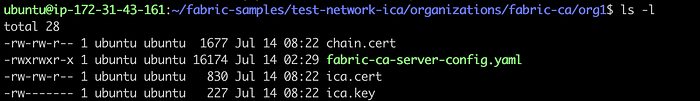 Typical Setups of Fabric CA Server 12