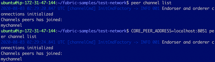 Add a Peer to an Organization in Test Network 13
