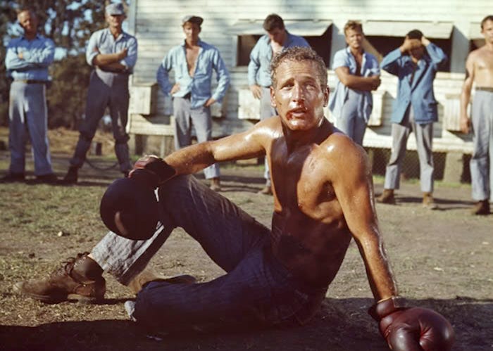 Script To Screen: “Cool Hand Luke” | by Scott Myers | Go Into The Story