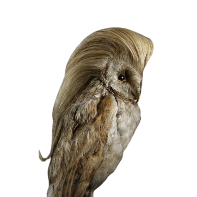 Image for post