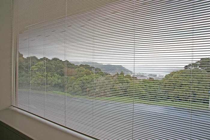 Micro Blinds Perks Nicole M Leal Medium