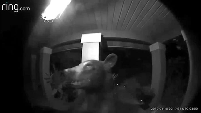 Black and white surveillance image from a Ring doorbell surveillance camera showing a bear on someone’s front porch. The bear seems to be small and might be standing on its hind legs, looking around peacefully.