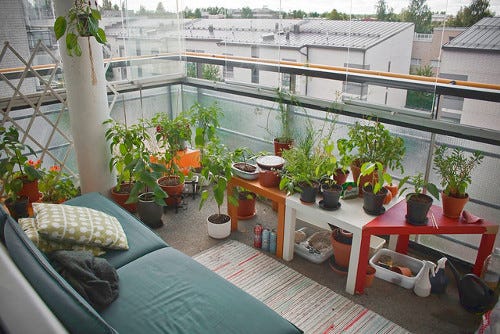 Turn Your Apartment Into A Small Garden By Desiree Thomson Medium