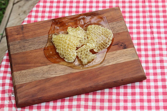 a honeycomb