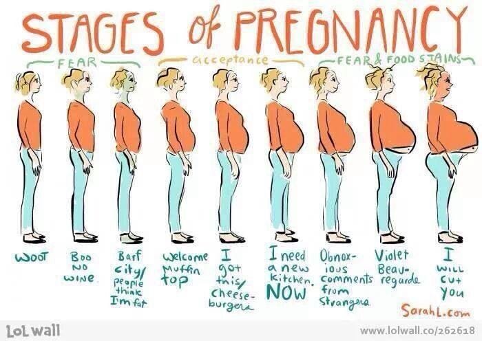 Feel Pregnant
