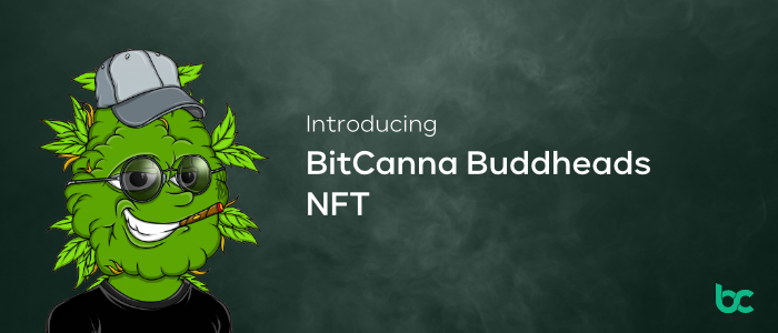 Ներկայացնում ենք՝ BitCanna Buddheads NFT