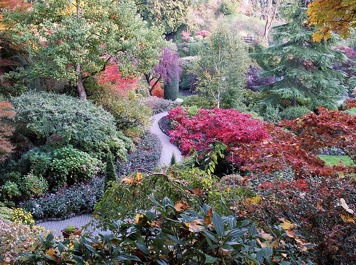 Image of garden with clear path and engaging foliage