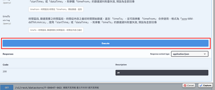按下底部的「Execute」