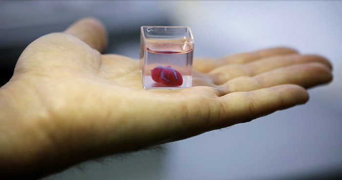 The world’s first truly simulated 3D printed heart