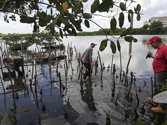Orlando Rey Santos: “la COP 26 pudiera tener resultados satisfactorios”