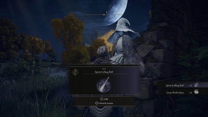 A screenshot of the in-game display with a large notification banner of an item which was just picked up