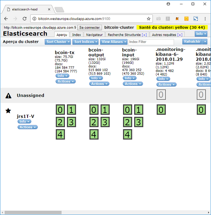 Elasticsearch indexes
