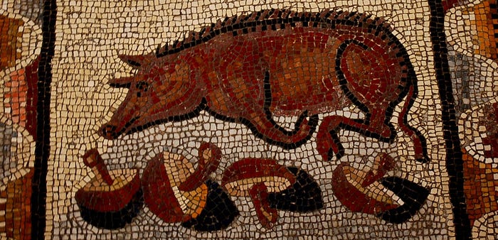  Roman mosaic in the Vatican showing pig with truffles. (source)
