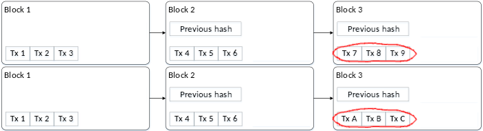 Two competing block chains, where the last block on each have recorded different transactions.