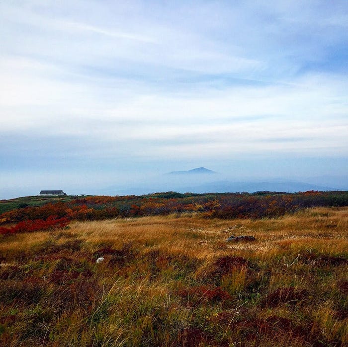 Mt. Chokai pokes its head through the clouds in the distance with the red and orange grasses of autumn at the Midagahara Marshlands on Mt. Gassan of the Dewa Sanzan in the foreground.