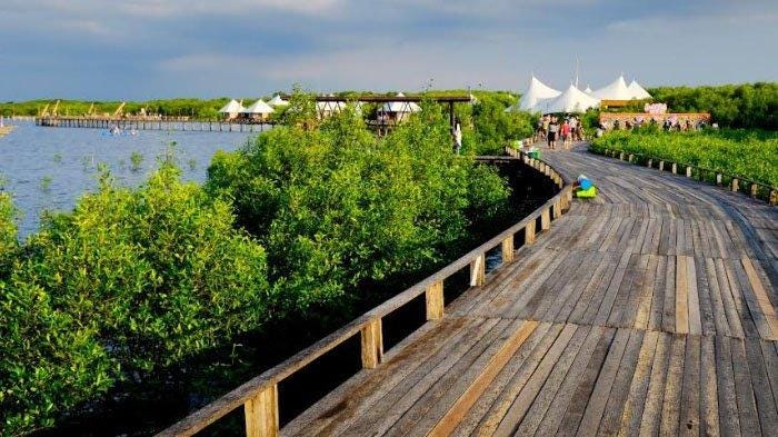 Bjbr Probolinggo East Java Bjbr Probolinggo Or Is A Mangrove By Java Island Explorer Medium