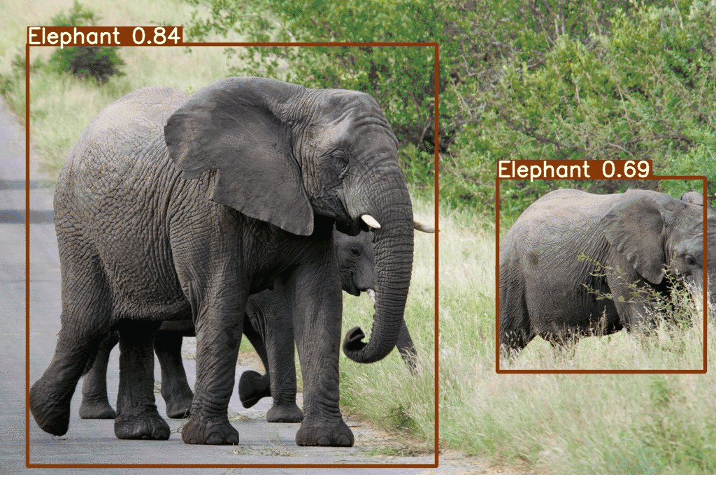 Half-width image