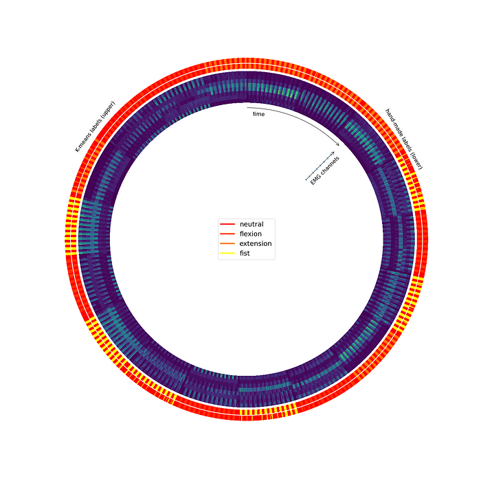 An attempt to visualize the whole dataset as a continuous time series. The time axis flows along with the circumference. The more yellow there is, the more muscular activity was recorded for that given time. There’s a second outer circle, whose color tends to be red, which represents the label assigned to the related piece of data for the same timestamp.