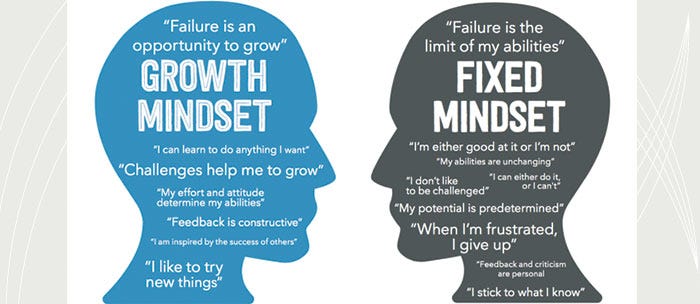 Entrepreneur Education Do You Have A Fixed Or Growth Mindset By Tammy Hawk Bridges Medium