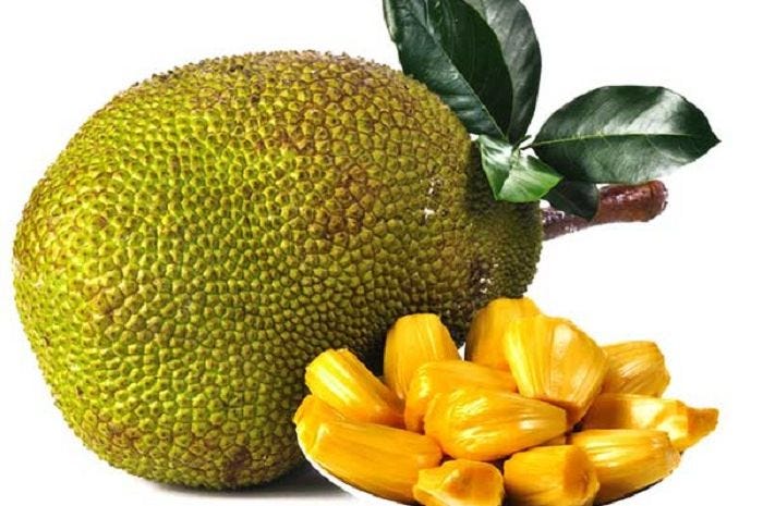 11 Amazing Benefits Of Jackfruit — The Biggest Fruit On Trees