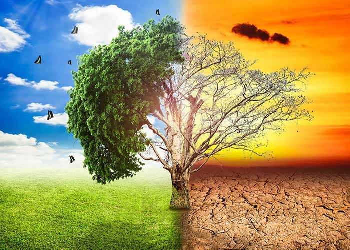 मैं प्रकृति हूँ. मैं प्रकृति हूँ। ये पेड़, पौधे, प्राणी… | by Vijay Bhavsar  | Medium
