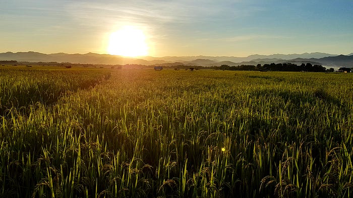 Photo of a sunset in Luang Namtha