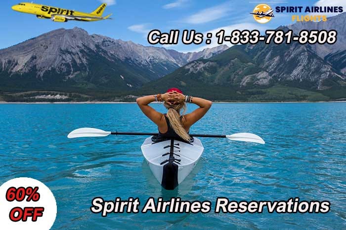 spirit airlines car seat and stroller