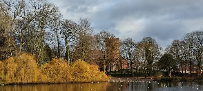 View of the duck and trees close to Saint Mary’s in Handsworth.