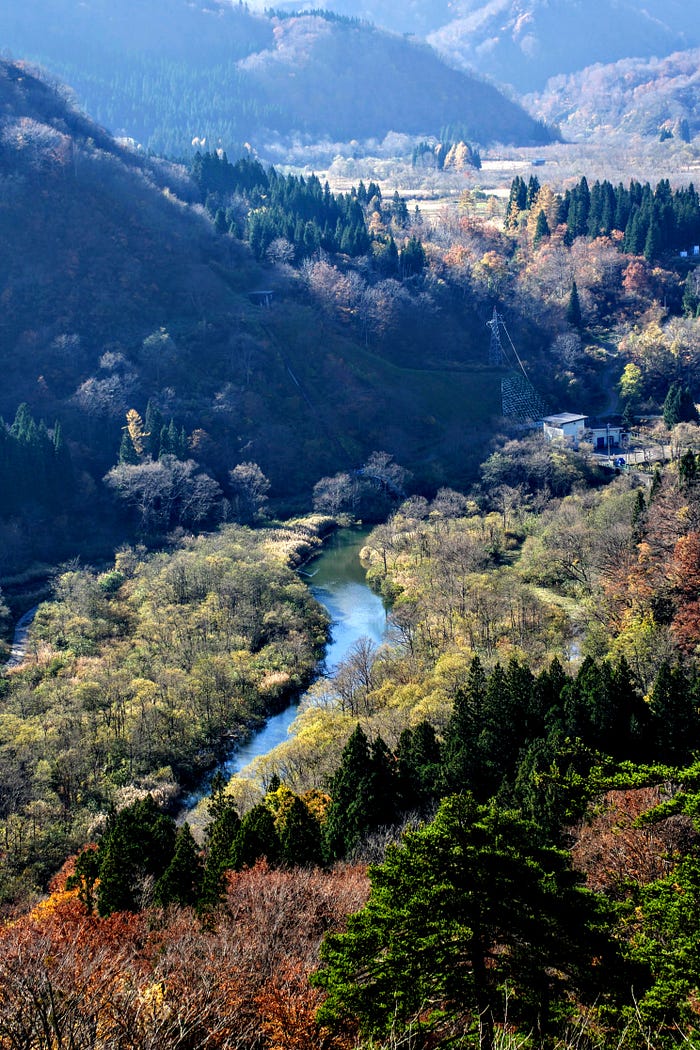 A mountain river amongst the autumn leaves near Hijiori Onsen on Mt. Gassan of the Dewa Sanzan
