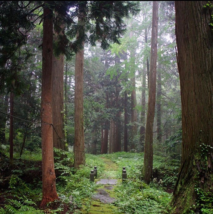 A bridge in the middle of a mountain path surrounded by towering cedars that leads towards Yakushi Shrine on Mt. Kumanonagamine, one of the 100 Famous Mountains of Yamagata in Tohoku, north Japan.