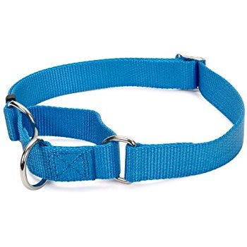 martingale leash collar combo