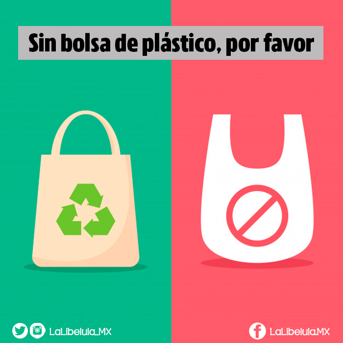 Reduce tu consumo y el uso de bolsas de plástico | by La Libélula México |  Medium