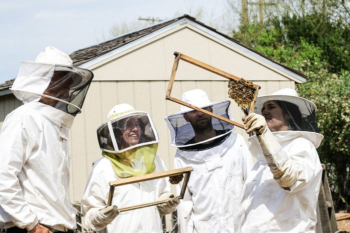 Beekeepers dealing with honey