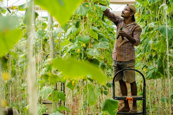 The Next Decade of Indian Agritech 7