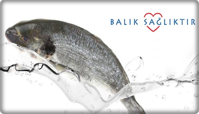 Neden balık tüketmelisiniz?. Balık, zengin vitamin içeriği ve güçlü… | by  Tr724 | Tr724 | Medium