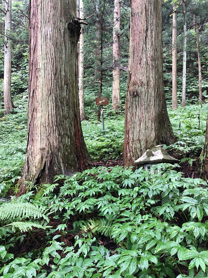 A sign points to the summit of Mt. Kumanonagamine between two towering cedar trees and a small shrine on Mt. Kumanonagamine, one of the 100 Famous Mountains of Yamagata in Tohoku, north Japan.