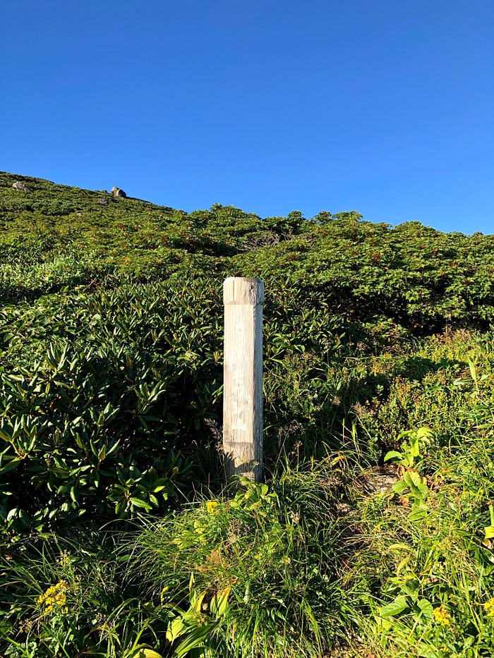 A sign post in the middle of a mountain that reads ‘Mt. Omowashiyama’ on Mt. Gassan of the Dewa Sanzan