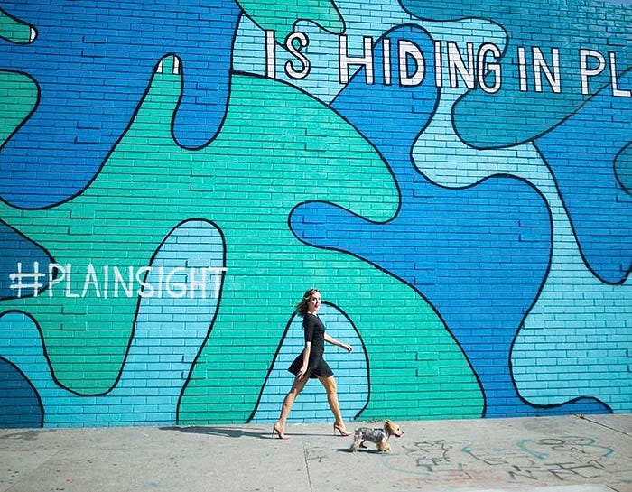 What Do You Think is Hiding in Plain Sight? by Sarah Zurell Medium