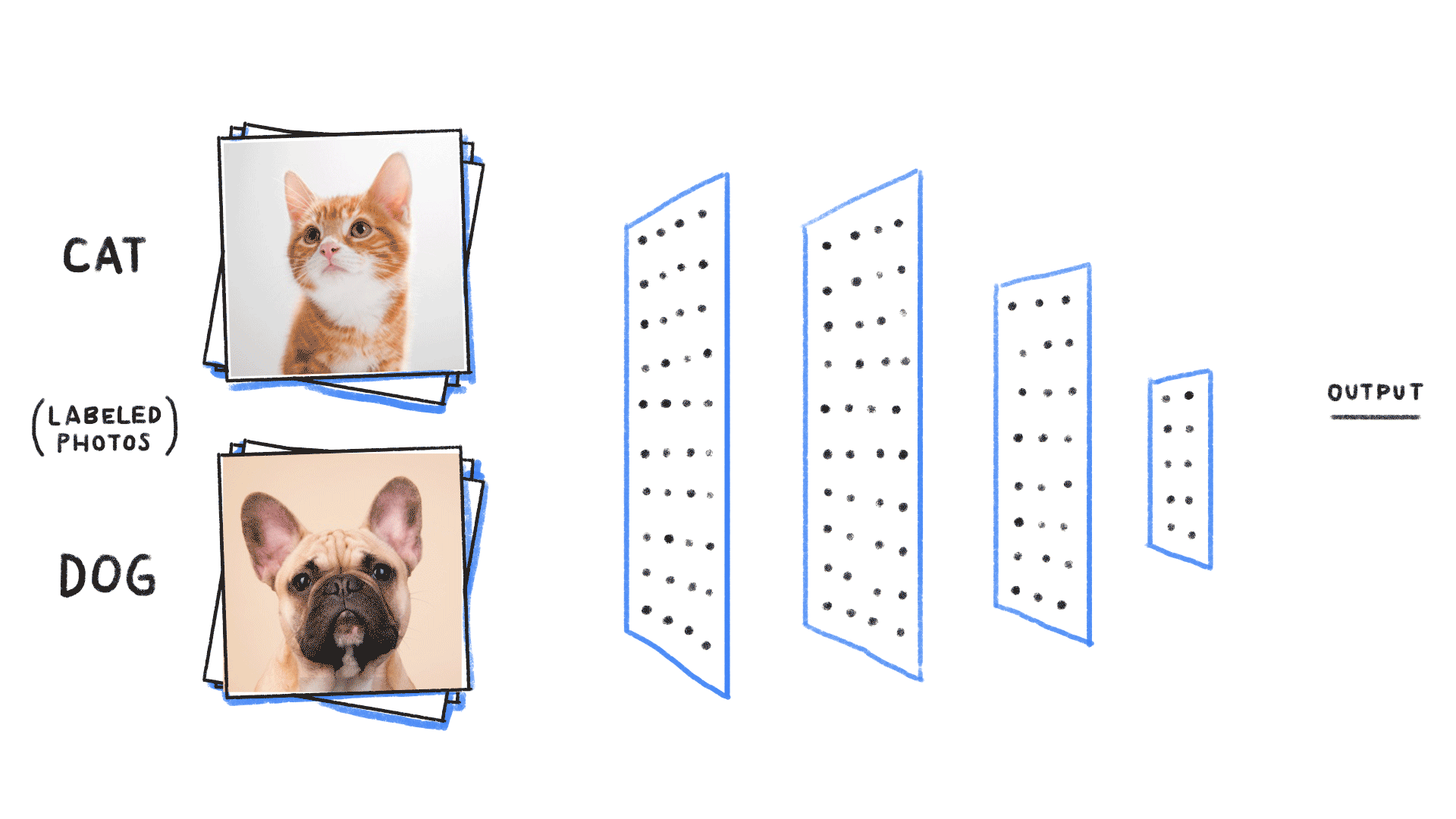 GIF describing how neural networks work with Cats and Dogs input layer, 2 hidden layers, and an output layer