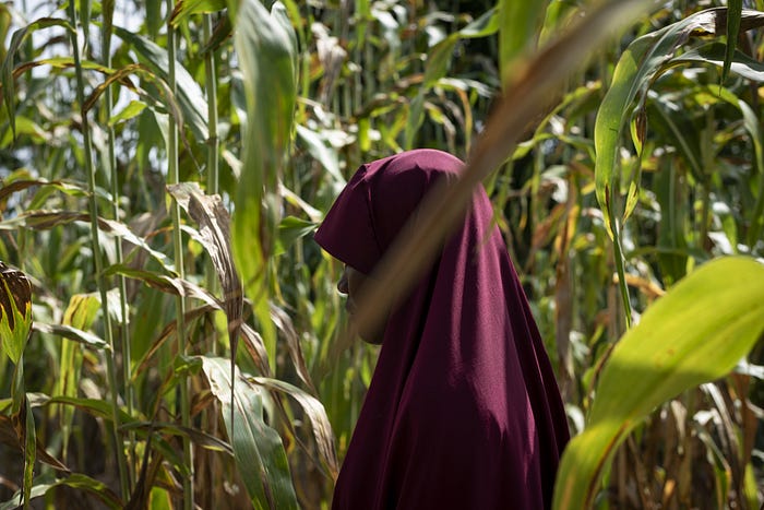 A woman (or girl) in a burgundy headscarf stands amidst tall, green plants. She faces away from the camara.