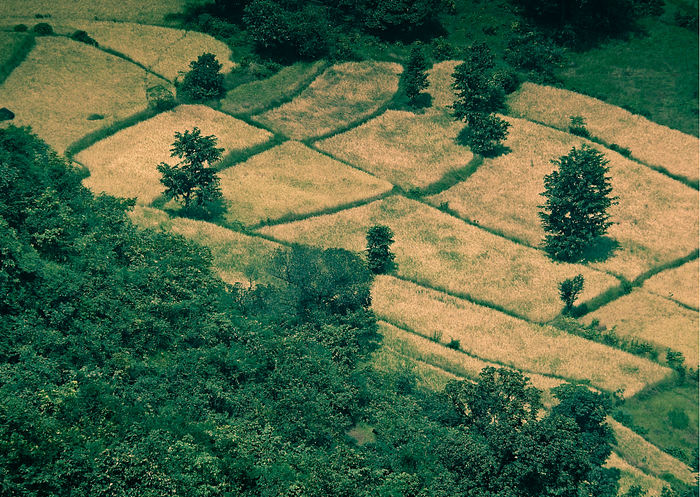 The Next Decade of Indian Agritech 5